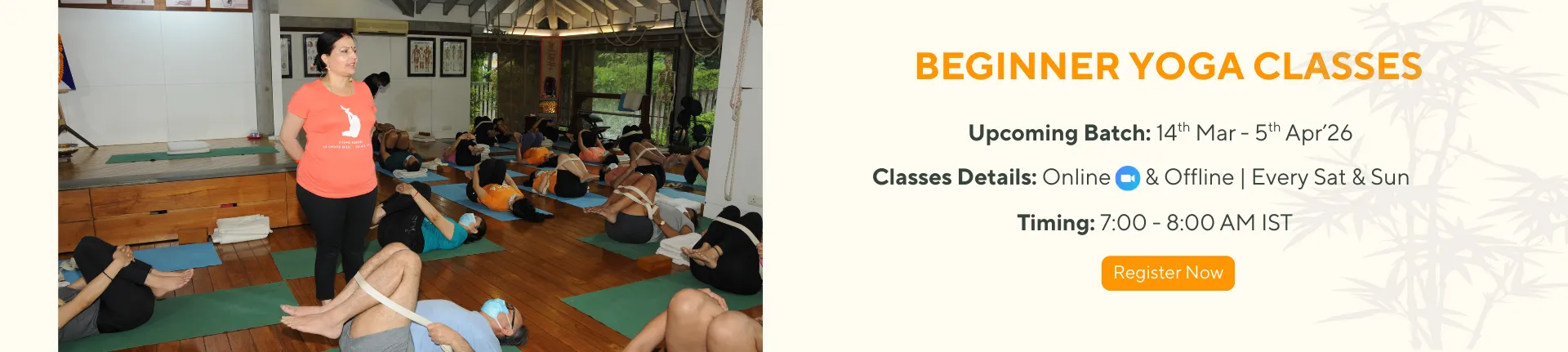 Beginners Yoga Classes
