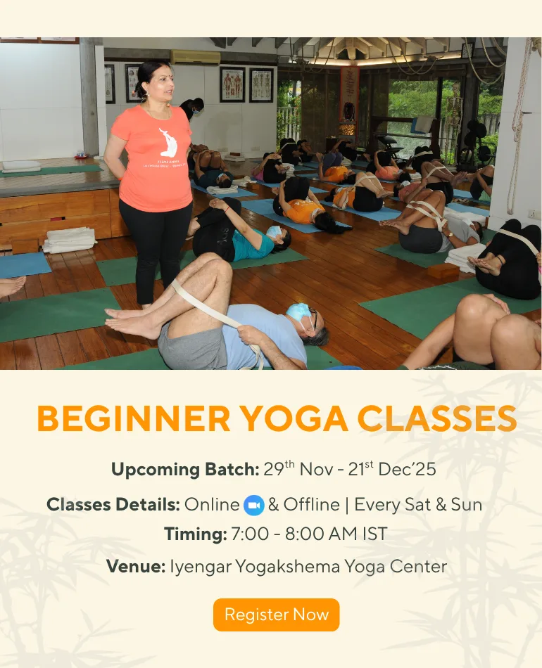 Join Our Beginner Yoga Classes