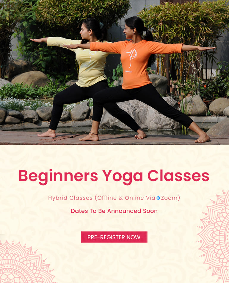 Join Our Beginner Yoga Classes