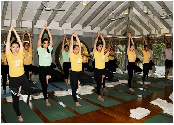 Beginner Yoga Classes