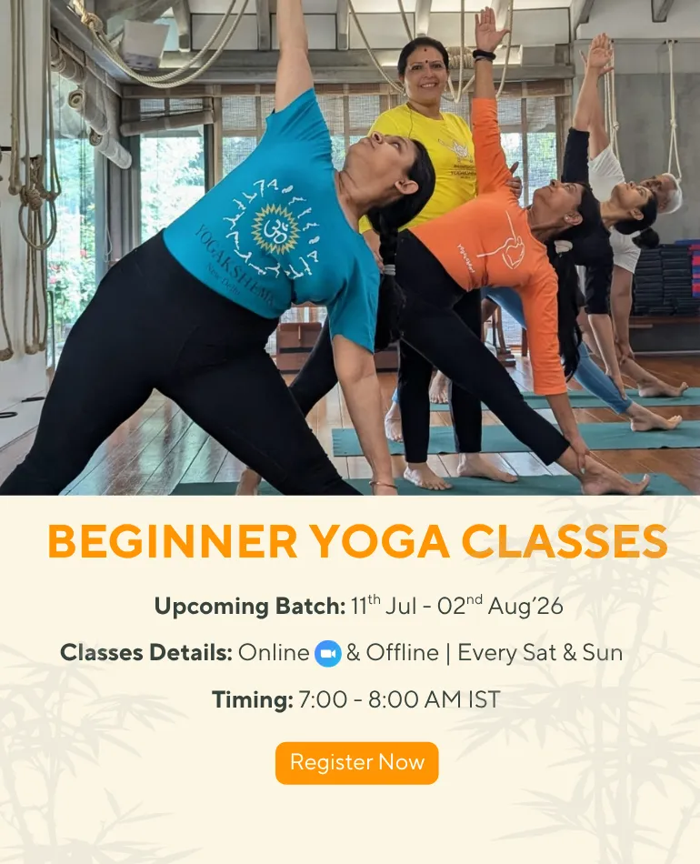 Join Our Beginner Yoga Classes