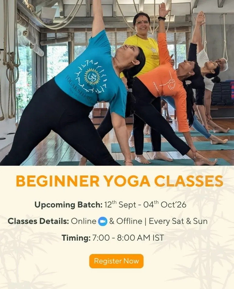 Join Our Beginner Yoga Classes