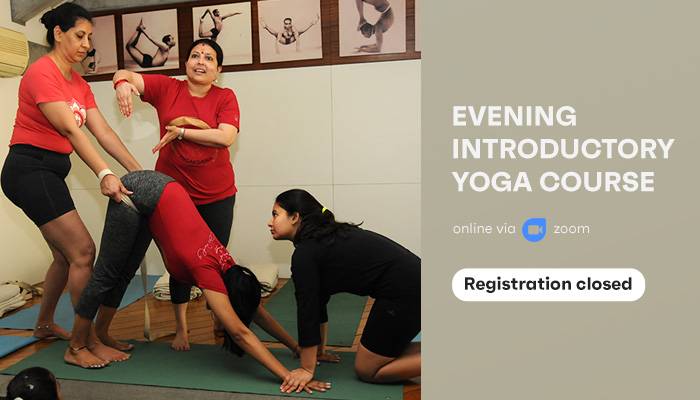 Introductory Yoga Course