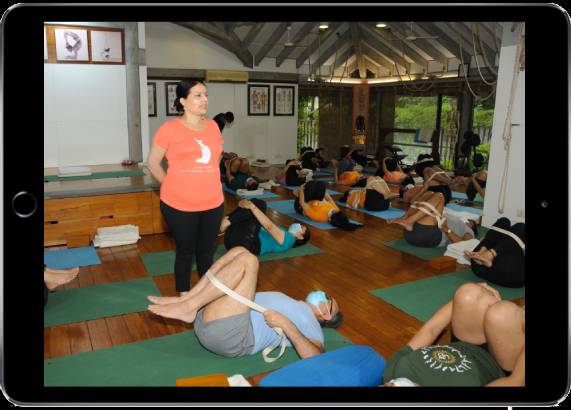 Beginner Yoga Classes